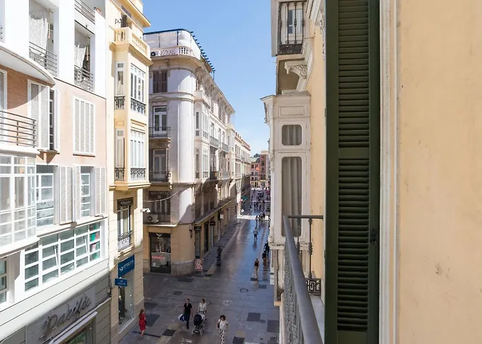 Homemalaga Constitucion 2